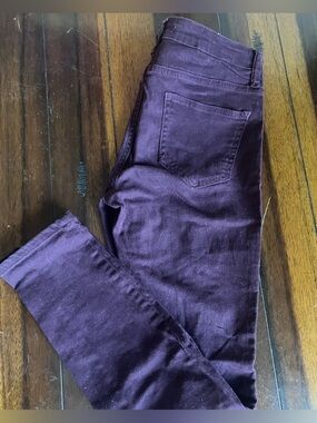 Cello Jeans Plum Waistband Button Front Pants